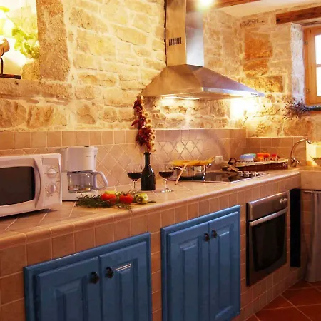 Holiday Morus